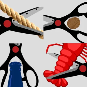 Graphic illustration showing four functions of heavy duty stainless kitchen scissors