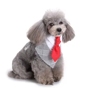 Honden pak slabbertje met rode stropdas en houndstooth bandana voor huwelijksfeest.