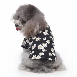 Nahaufnahme eines grauen Pudels in einem schwarzen Hundehemd mit Gänseblümchenmuster