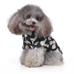 Detail eines grauen Pudels in einem schwarzen Hundehemd mit Gänseblümchenmuster