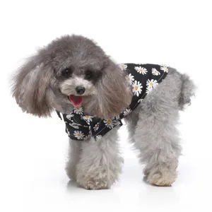 Seitenansicht eines Pudels in einem schwarzen Sommer-Hundehemd mit weißen Gänseblümchen