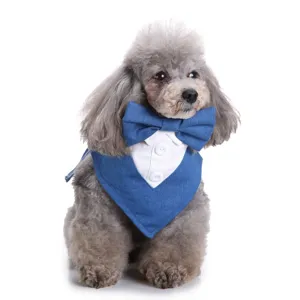 Schattig huisdier hond denim tuxedo bandana met vlinderdas en witte kraag voor feest.