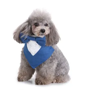 Blauwe huisdier tuxedo hond bandana met vlinderdas en overhemd kraag detail voor feest trouwen