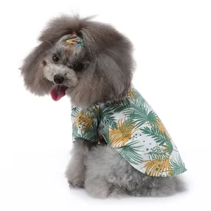 Grauer Hund trägt ein hawaiianisches Hemd mit Palmenblatt-Print für den Sommerstrand