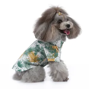 Ein flauschiger grauer Pudel trägt ein sommerliches Hundehemd mit Palmenblatt-Print