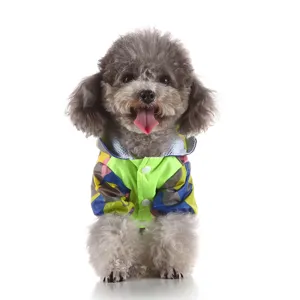 Gros plan imperméable chien mignon, détails vêtement animal imperméable coloré à capuche