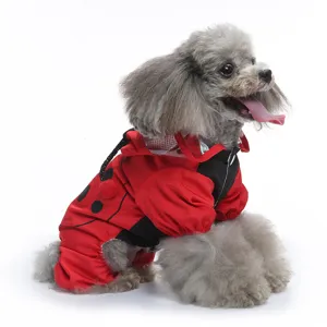 Adorable imperméable coccinelle pour chien, manteau de pluie imperméable à quatre pattes.