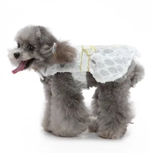 Caniche gris portant une robe de chien princesse blanche avec bordure dorée et nœud pour mariage.