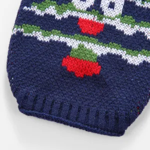 Gros plan d'un pull tricoté d'hiver pour animal de compagnie aux motifs festifs.
