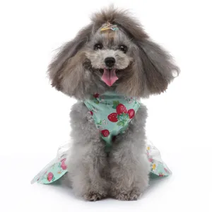 Vue détaillée de jolie robe d'été pour chien chat avec imprimé fraise, jupe en tulle respirante.