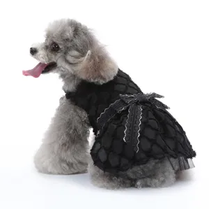 Robe de princesse noire en dentelle avec nœud pour chien fête de mariage vêtement animal.