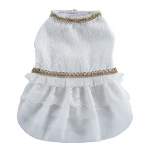 Belle robe de chien en dentelle blanche avec volants en tulle et bordure dorée chic.