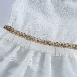 Gros-plan détail robe chien dentelle blanche, tissu délicat et bordure dorée élégante.