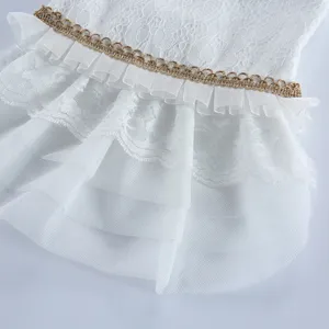 Vue détaillée d'une robe de chien en dentelle blanche avec jupes en tulle et bordure.