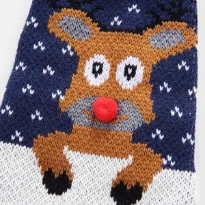 Vue détaillée du joli pull pour animal motif de Noël texture tricotée et nez pompon rouge.