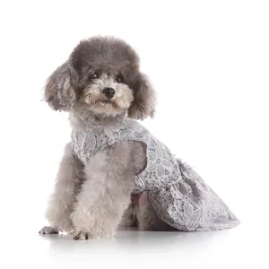 Grey lace dog dress, elegant floral pet apparel for small dogs, comfortable summer pet skirt.