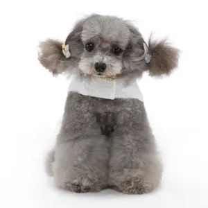 Vue détaillée de la robe de chien en dentelle style princesse élégante pour mariages.