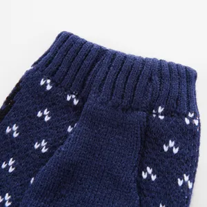 Gros plan sur le detail du pull pour animal en tricot bleu marine, texture douce hiver.