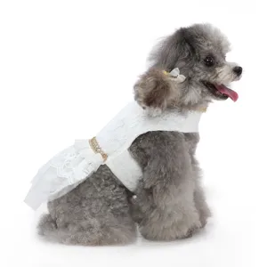 Jolie robe de chien en dentelle blanche avec nœud style princesse vêtement animal de fête.