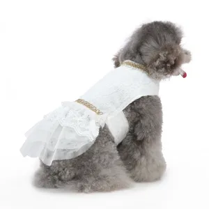 Vue détaillée de l'élégante robe en dentelle blanche pour animaux avec un joli nœud et chaîne.
