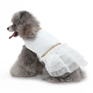 Vue détaillée d'un caniche gris portant une élégante robe de princesse en dentelle blanche.