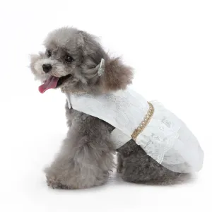 Jolie robe de chien en dentelle blanche avec bordure dorée, style princesse élégant.