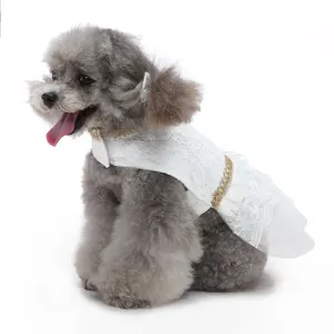 Élégante robe de chien en dentelle blanche, vêtement de mariage pour chiot princesse.