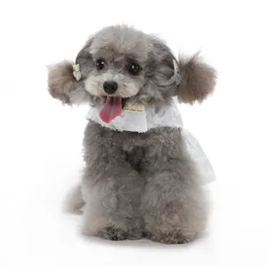 Gros plan détail de jolie robe en dentelle pour chien avec nœud, tissu doux et élégant.