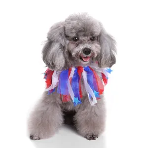 Grey poodle wearing a patriotic red white and blue star decorative festive pet collar
