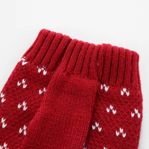 Détail de pull tricoté rouge pour animaux, vêtement d'hiver chaud pour chien avec motifs.