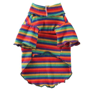 Detailansicht des bunten Hundepullovers mit Rollkragen, weicher Strickstoff Haustierkleidung.