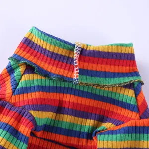 Detailaufnahme eines bunten gestreiften Haustier Rollkragenpullovers, weicher Rippstrick.