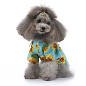 Grauer Pudel trägt ein sommerliches Hundeshirt mit Sonnenblumenmuster im Strandstil