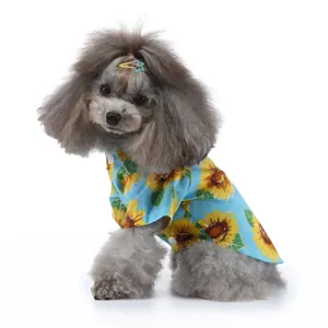 Nahaufnahme eines grauen Pudels in einem hellblauen Hundeshirt mit Sonnenblumenmuster