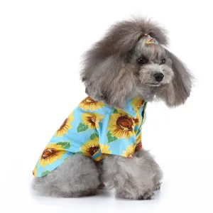Detailaufnahme eines kleinen Pudels in einem blauen Hundeshirt mit Sonnenblumen.