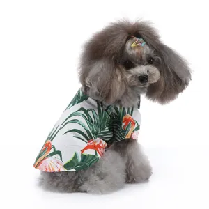 Kleiner Hund in einem weißen Sommerhemd mit tropischen Flamingos und grünen Blättern