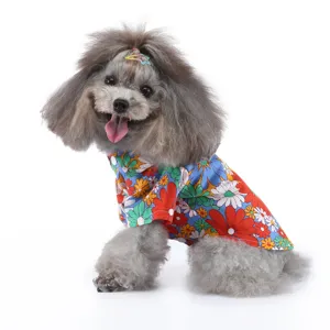 Detailansicht eines grauen Pudels in einem lebhaften Sommer-Hundehemd mit Gänseblümchen