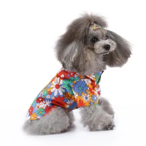 Detailansicht eines kleinen Pudels in einem bunten Gänseblümchen-Strandhemd für Hunde