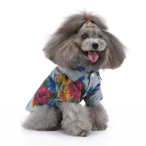 Ein kleiner grauer Hund im tropischen Blumen-Sommerhemd vor schlichtem weißen Hintergrund