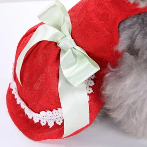 Rotes Haustier Sommerkleid aus Spitze mit hellgrüner Schleife und weißer Spitzenborte für Hunde