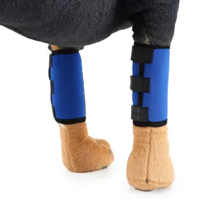 Close-up of blue protective dog leg wraps with adjustable Velcro straps