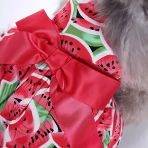 Nahaufnahme des niedlichen Haustierkleides mit Wassermelonenmuster und roter Satinschleife.