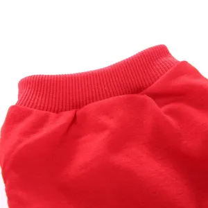 Gros plan sur le détail de l'encolure du vêtement pour animal, tissu doux d'été.