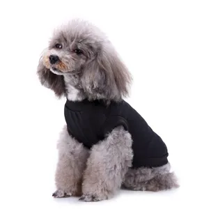 Détail en gros plan d'un gilet noir uni pour chien, en tissu respirant pour l'été.