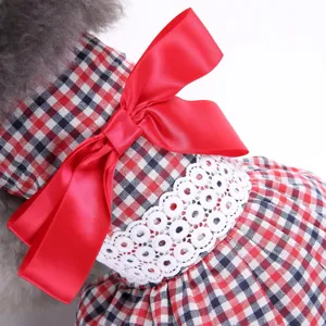 Haustier Hund Kariertes Kleid mit großer roter Schleife und weißem Spitzen Detail Sommer