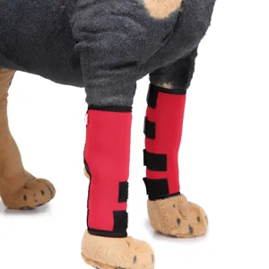 Vista dettagliata delle ginocchiere rosse per cani per il recupero e supporto chirurgico dell'arto.