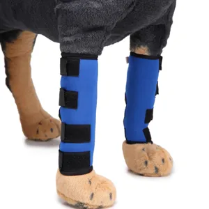 Protezione professionale blu per la gamba del cane per il recupero chirurgico e supporto