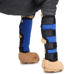 Dettaglio del tutore per gambe di cane blu con cinghie regolabili per il recupero lesioni