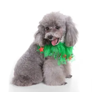 Festive green holiday pet collar with red stars and bells worn by a grey poodle dog.
