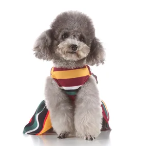 Detail shot of a colorful striped summer dog dress on a cute poodle. Perfect pet apparel.